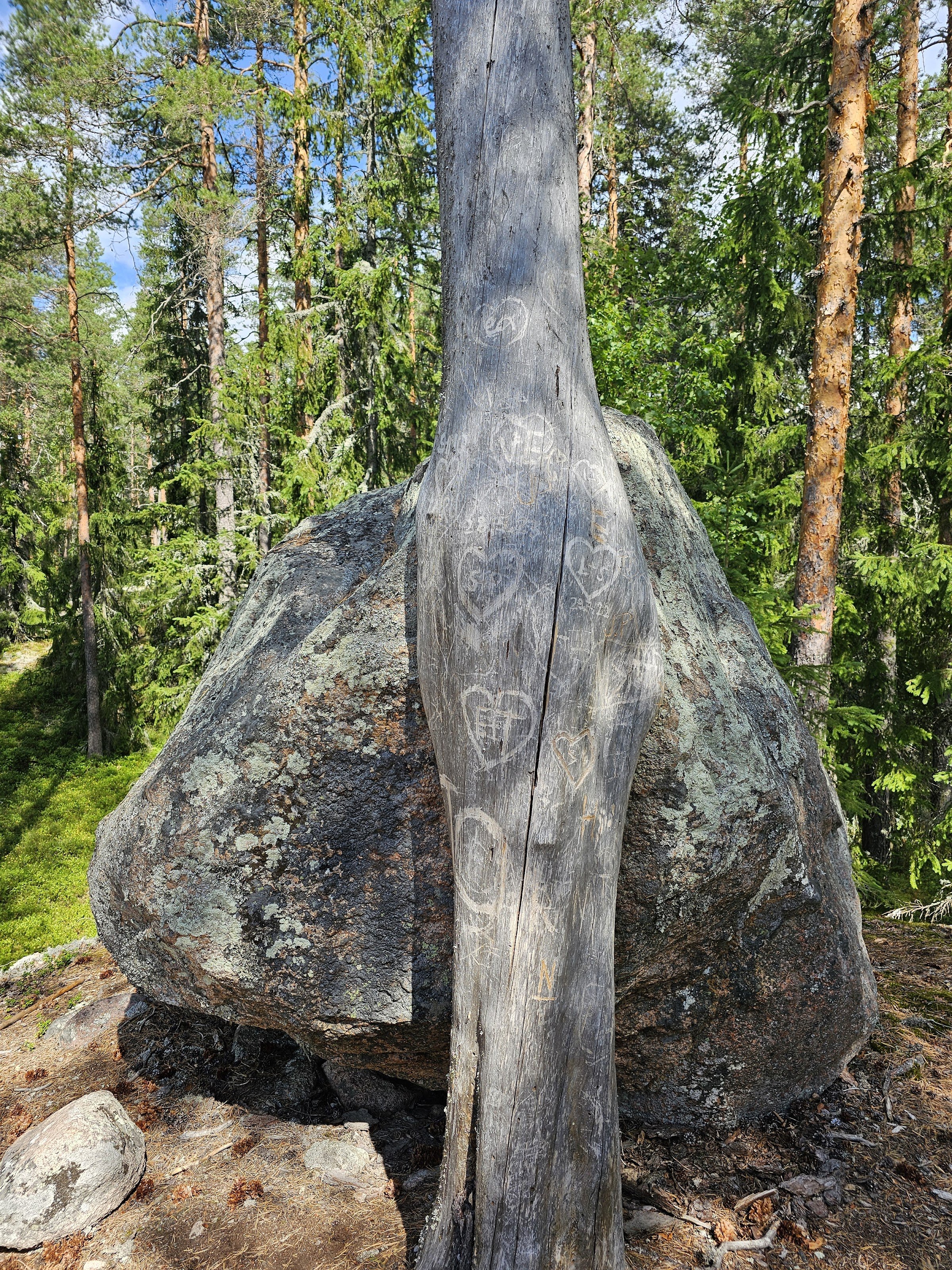 Olhavan laavu (Olhava campfire shelter) - Repovesi National Park